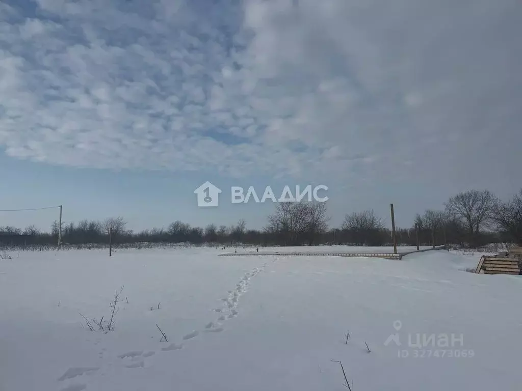 Участок в Воронежская область, Рамонский район, Новоживотинновское ... - Фото 1