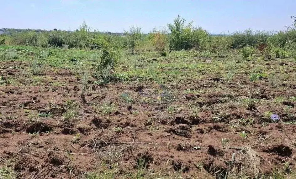 Участок в Оренбургская область, Оренбургский район, Ленинский ... - Фото 0