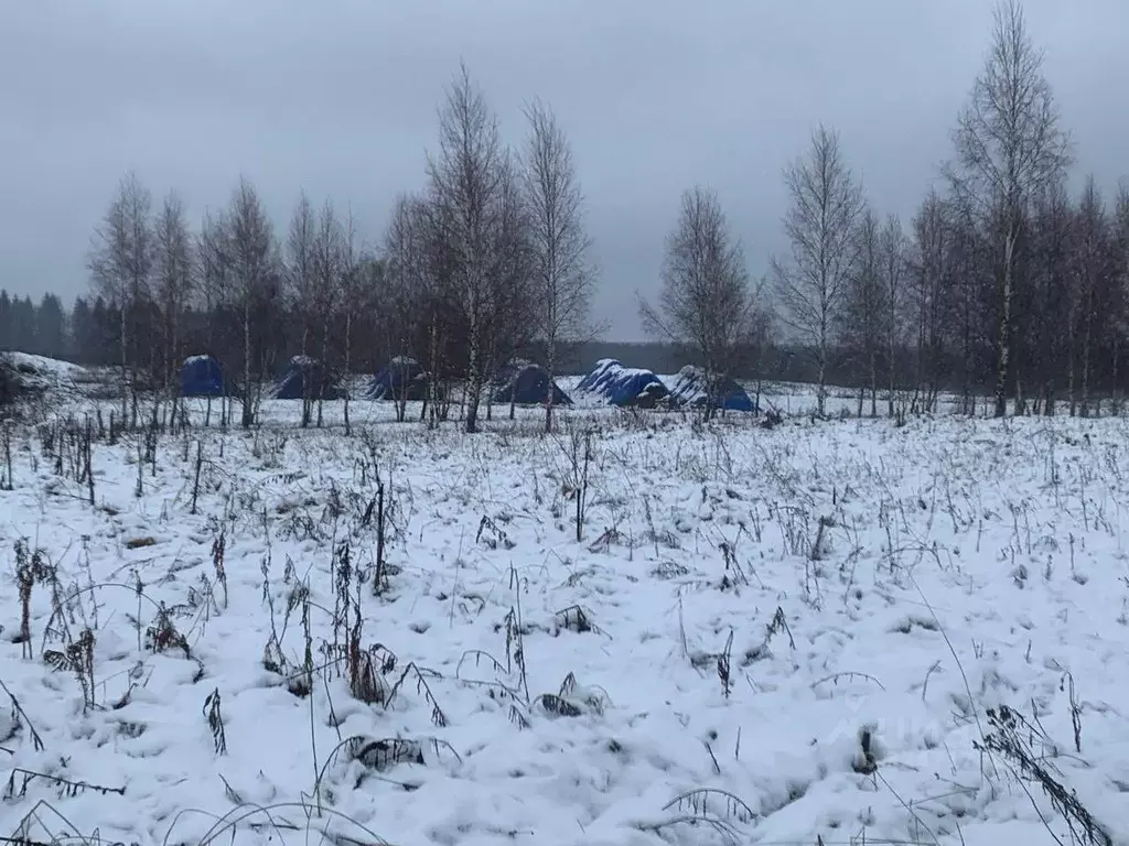 Участок в Московская область, Истра ул. Ленина, Река Истра (12.38 ... - Фото 1