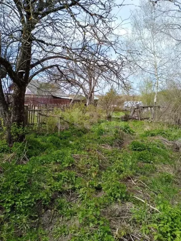 Участок в Вологодская область, д. Катунино  (15.96 сот.) - Фото 2