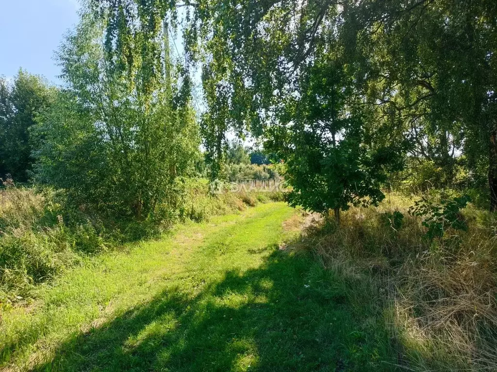 Участок в Калининградская область, Светлогорский городской округ, пос. ... - Фото 1