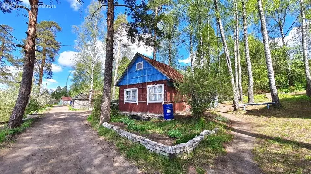Участок в Выборг, СНТ Цветущий Мыс (12 м) - Фото 0