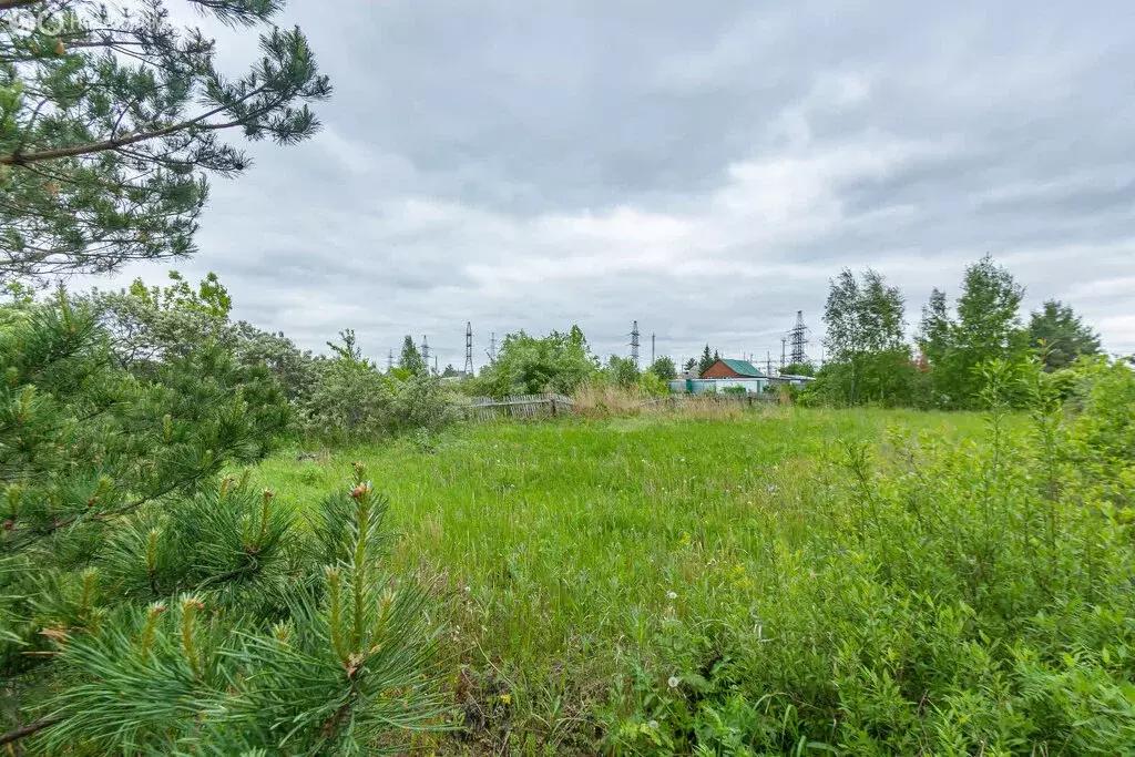 Участок в Пушкинское сельское поселение, деревня Ракитинка, ... - Фото 0