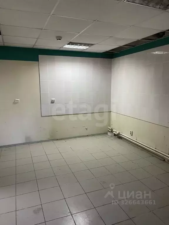 Помещение свободного назначения в Ленинградская область, Луга просп. ... - Фото 1