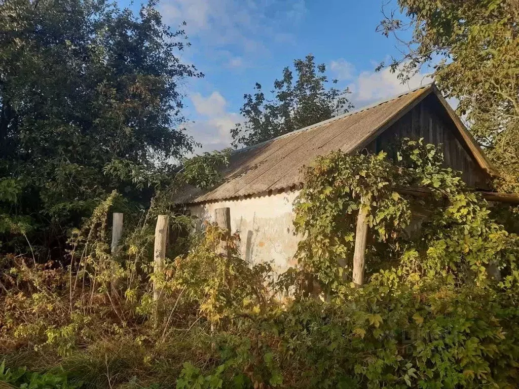 Дом в Белгородская область, Новооскольский городской округ, с. ... - Фото 1