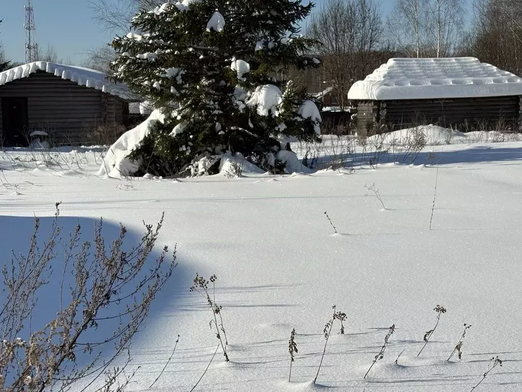 Участок в Московская область, Чехов муниципальный округ, д. ... - Фото 0