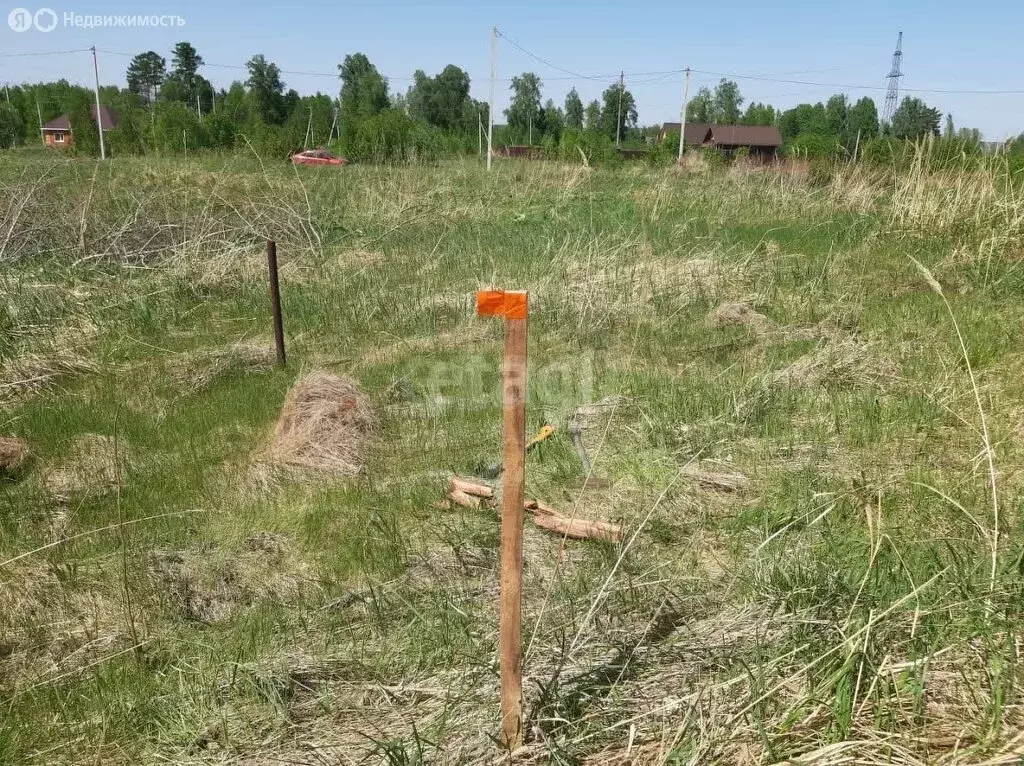 Участок в Томск, микрорайон Каменка (15 м) - Фото 2