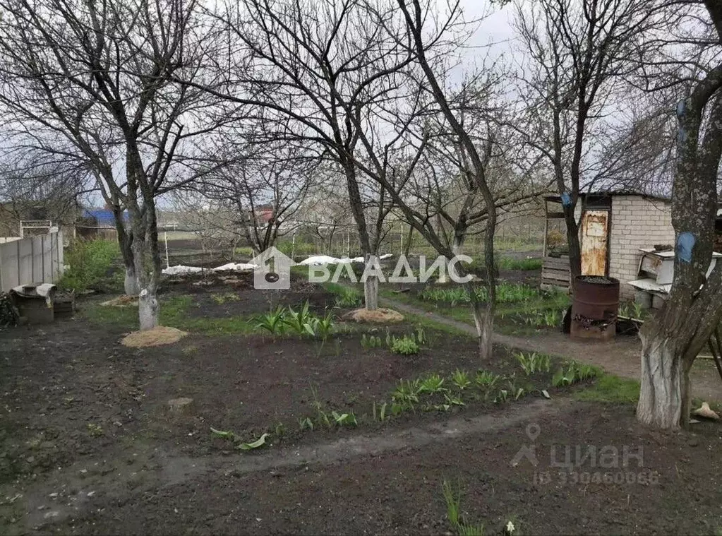 Участок в Белгородская область, Белгородский муниципальный округ, ... - Фото 2
