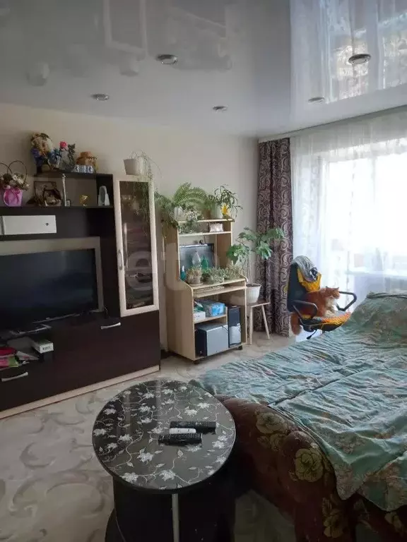 Квартира, 1 комната, 31.3 м - Фото 1