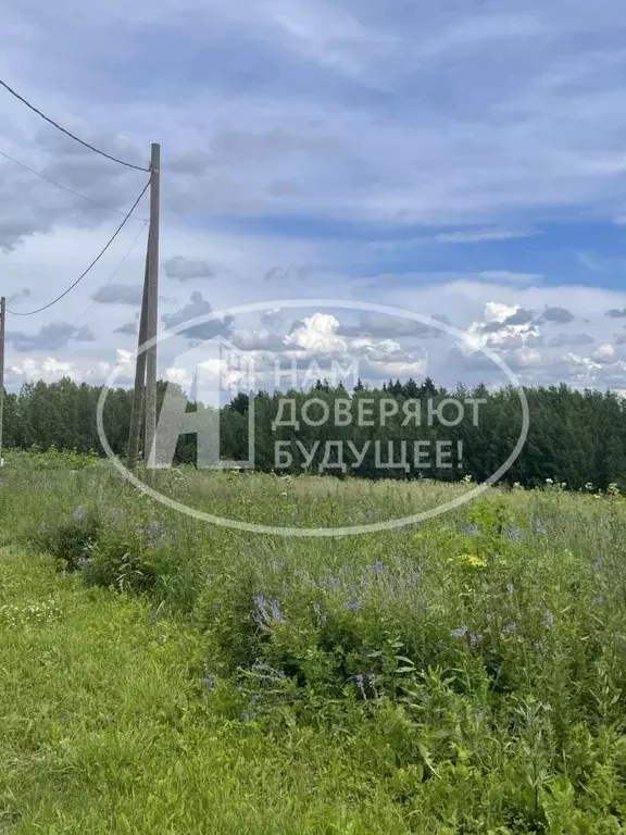 Участок в Пермский край, Пермский муниципальный округ, пос. Протасы ... - Фото 2