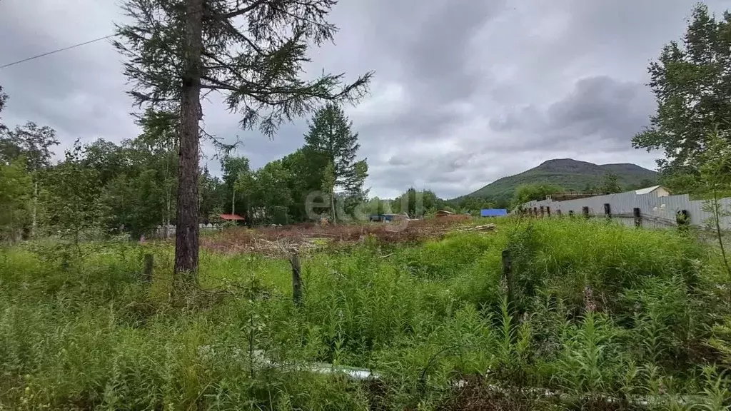 Участок в Камчатский край, Быстринский муниципальный округ, с. Эссо ... - Фото 0
