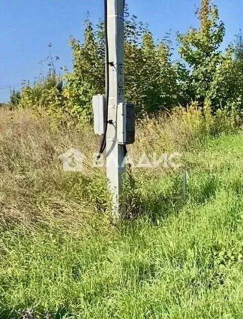 Участок в Калининградская область, Гурьевский муниципальный округ, ... - Фото 2