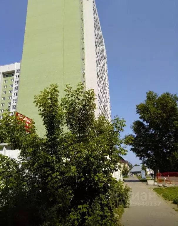 Студия Алтайский край, Барнаул ул. Петра Сухова, 34 (30.0 м) - Фото 2