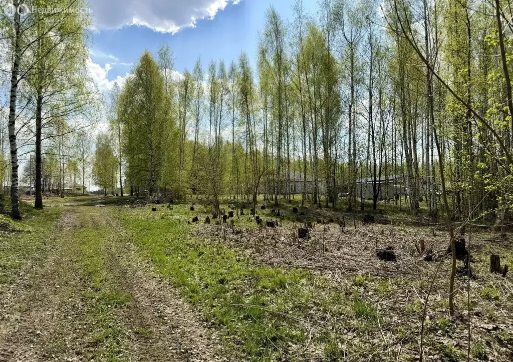 Участок в село Елховка, ТИЗ Елховка, Урожайная улица (15.13 м) - Фото 1