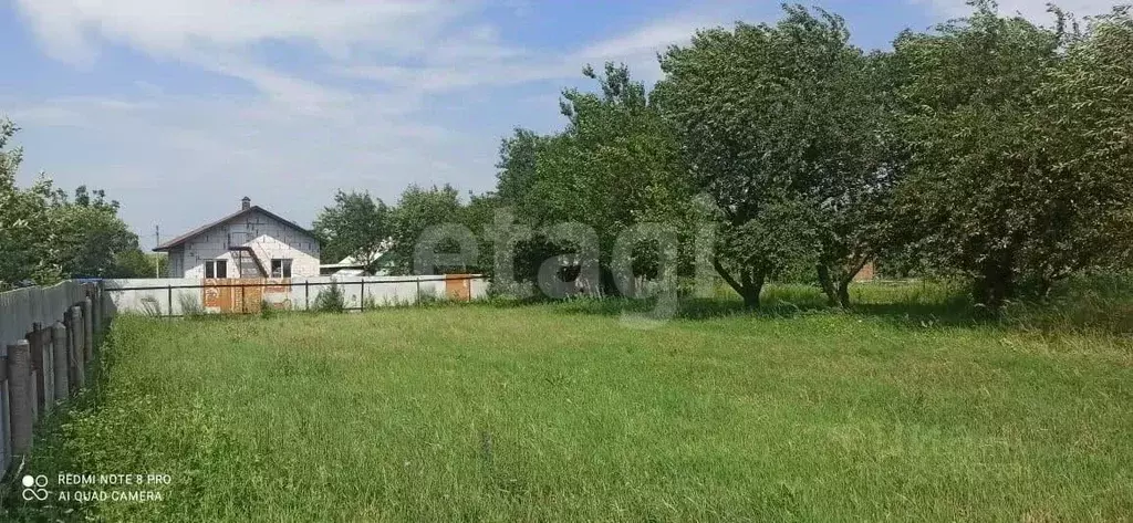 Участок в Белгородская область, Белгород Фазенда садоводческое ... - Фото 1