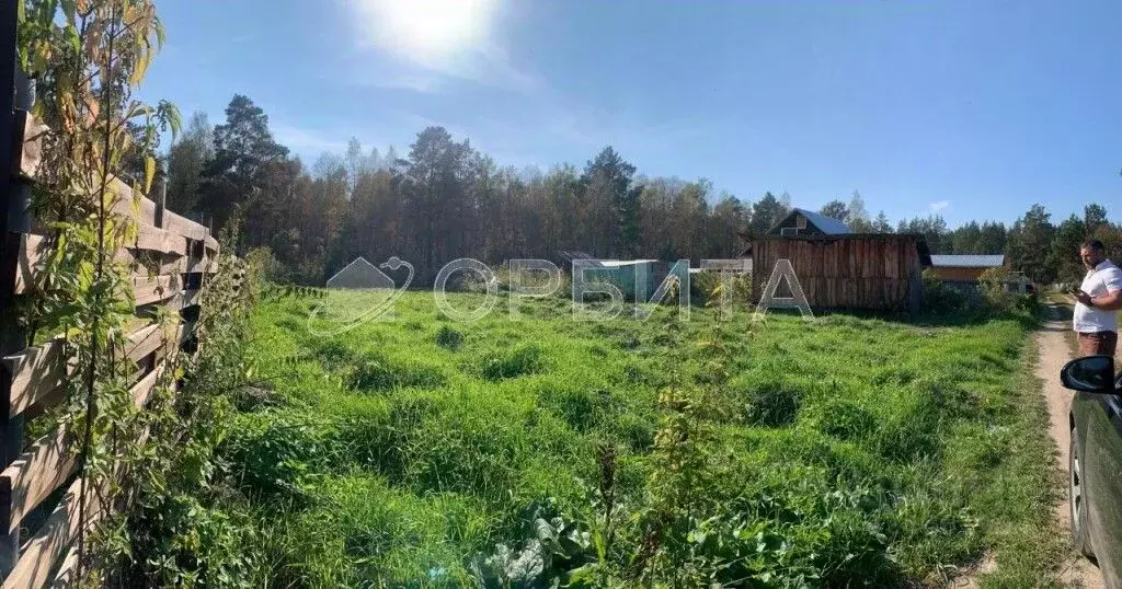 Участок в Тюменская область, Тюменский муниципальный округ, Горошинка ... - Фото 1