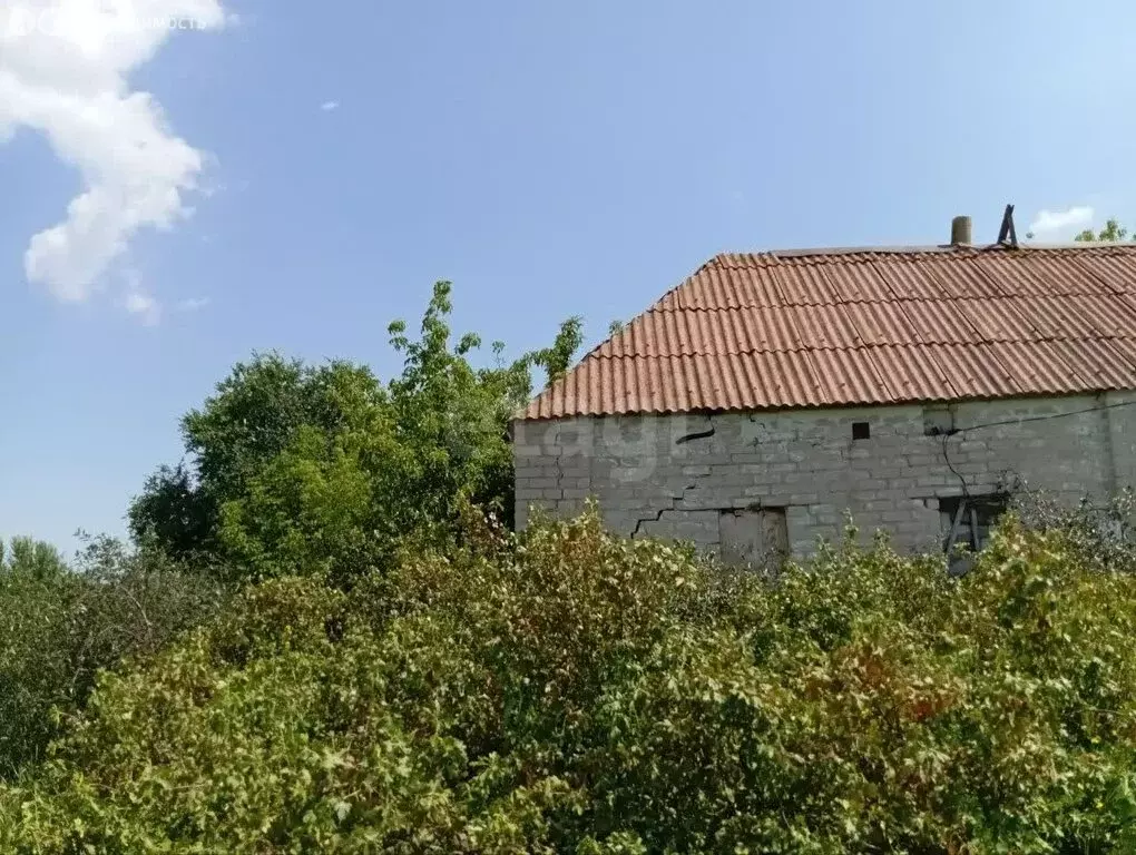 Участок в Аннинский район, Садовское сельское поселение, село Садовое ... - Фото 2
