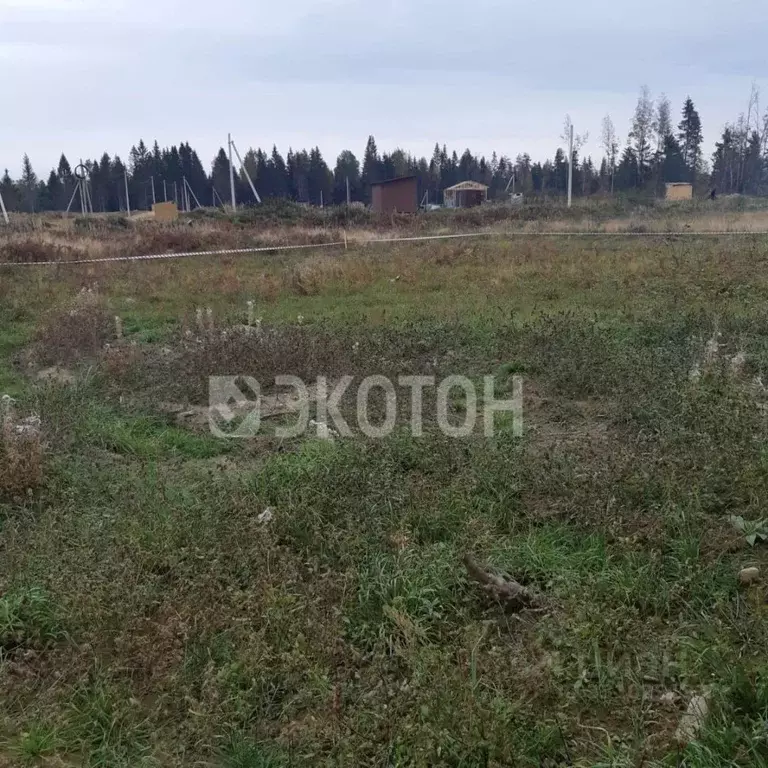 Участок в Ленинградская область, Всеволожский район, Агалатовское ... - Фото 2