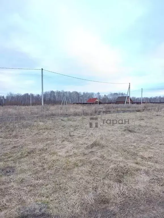 Участок в Челябинская область, Сосновский муниципальный округ, с. ... - Фото 1