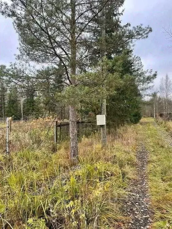 Участок в Новгородская область, Новгородский район, Савинское с/пос, ... - Фото 2