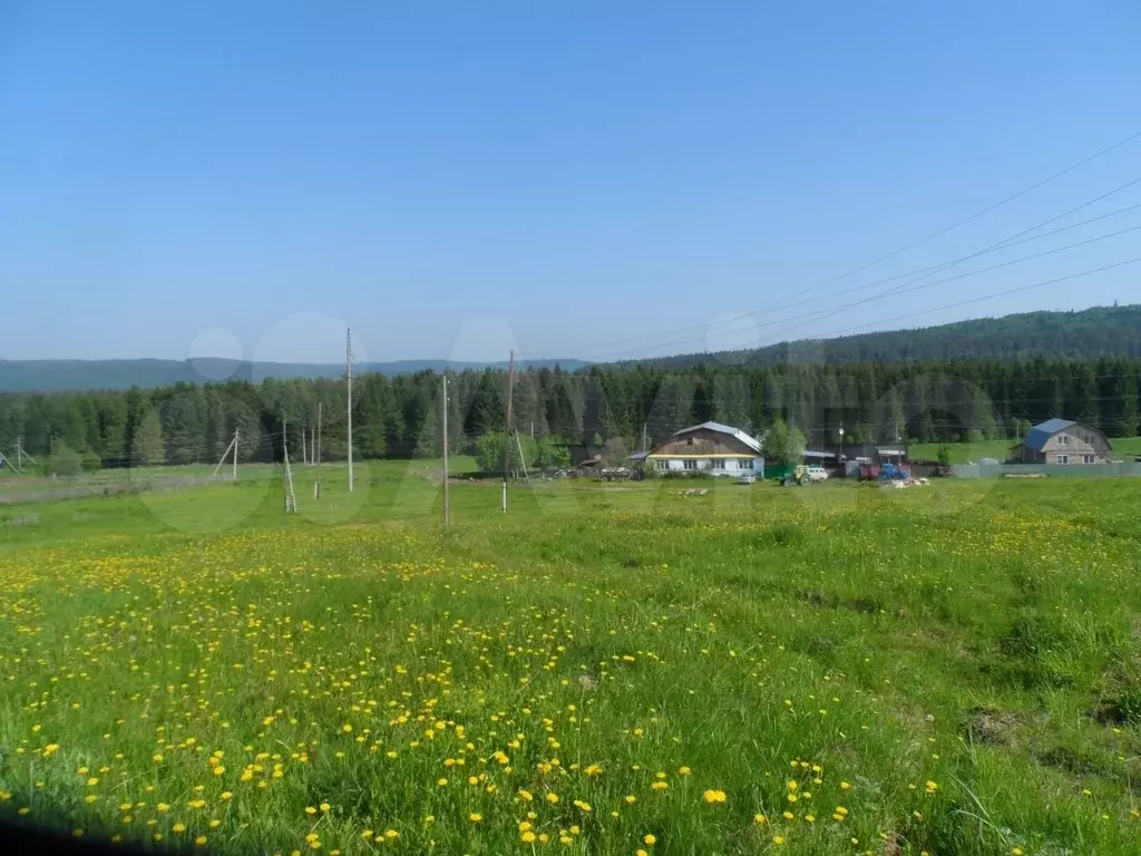 Погода село афанасьевское свердловская область ачитский. Село Афанасьевское Ачитский район. Поселок Заря Ачитского района Свердловская область. Афанасьевское Свердловская область. Село Ачит Свердловской области.