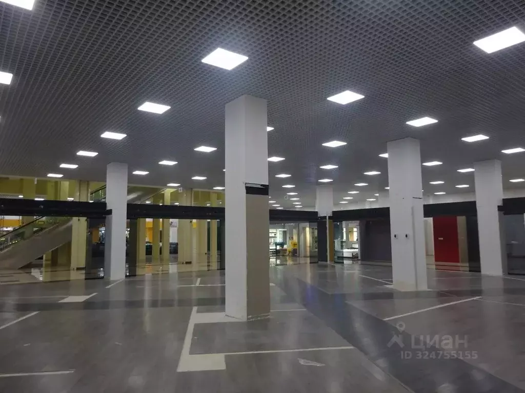 Торговая площадь в Санкт-Петербург Богатырский просп., 18К2 (427 м) - Фото 1