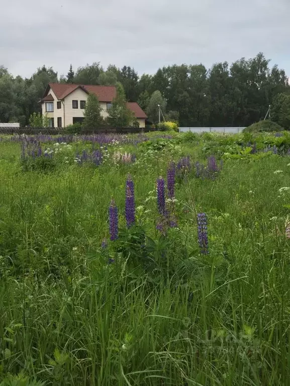 Участок в Московская область, Истра городской округ, д. Павловское ул. ... - Фото 0