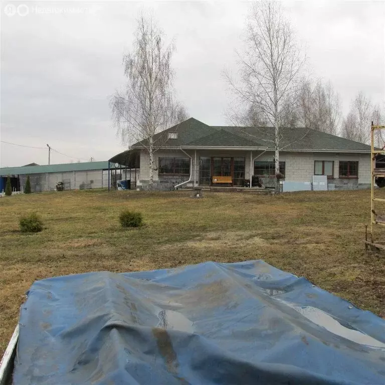 Дом в Нижегородская область, Богородский муниципальный округ, деревня ... - Фото 1