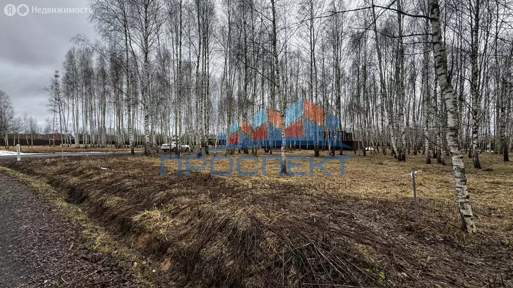 Участок в Московская область, городской округ Ступино, деревня ... - Фото 2