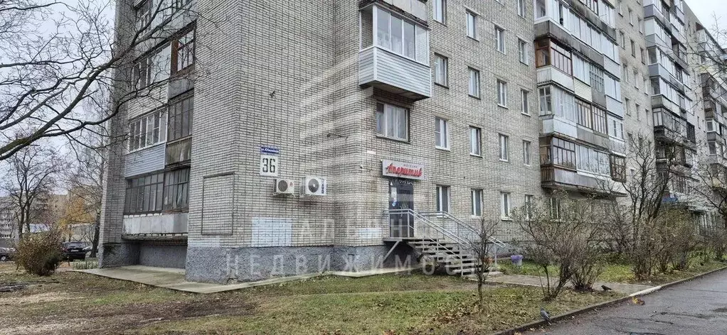 Торговая площадь в Владимирская область, Владимир Юбилейная ул., 36 ... - Фото 0