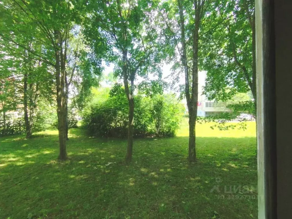 1-к кв. Калужская область, Обнинск Белкинская ул., 45 (35.3 м) - Фото 1