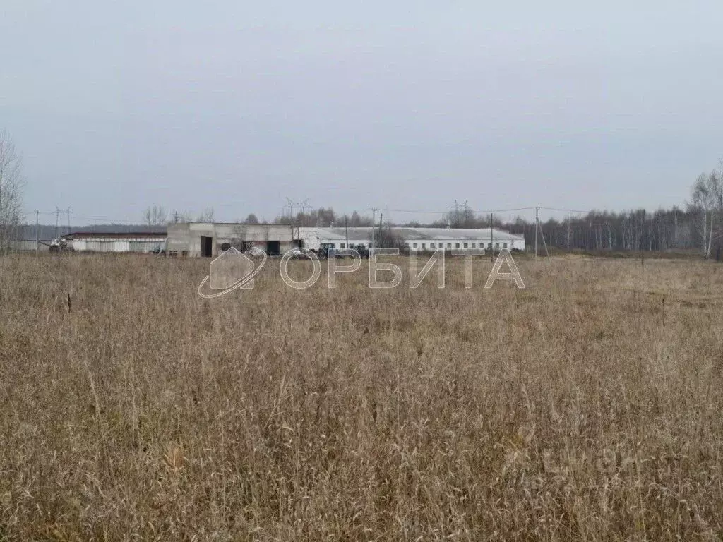 Участок в Тюменская область, Тюменский муниципальный округ, с. Щербак  ... - Фото 1