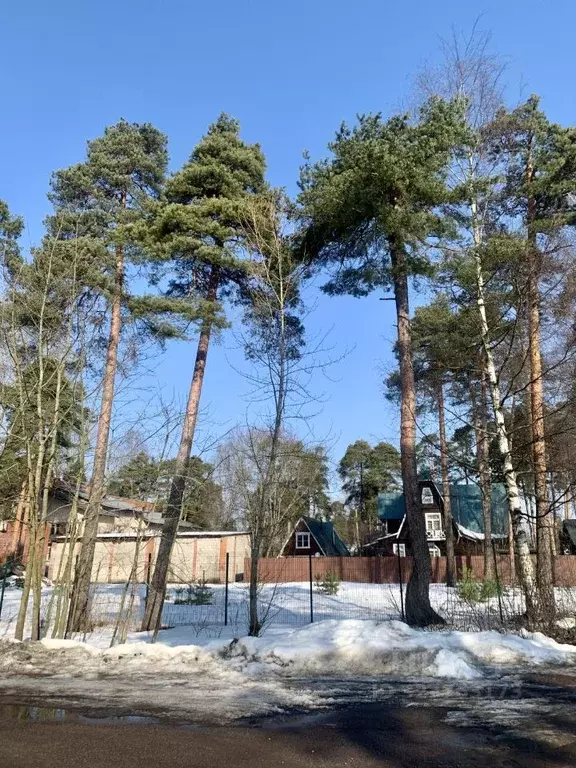 Участок в Санкт-Петербург Хвойная ул., 13-15В (16.59 сот.) - Фото 2