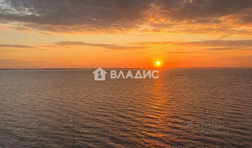 2-к кв. Санкт-Петербург ул. Челюскина, 10 (73.53 м) - Фото 2