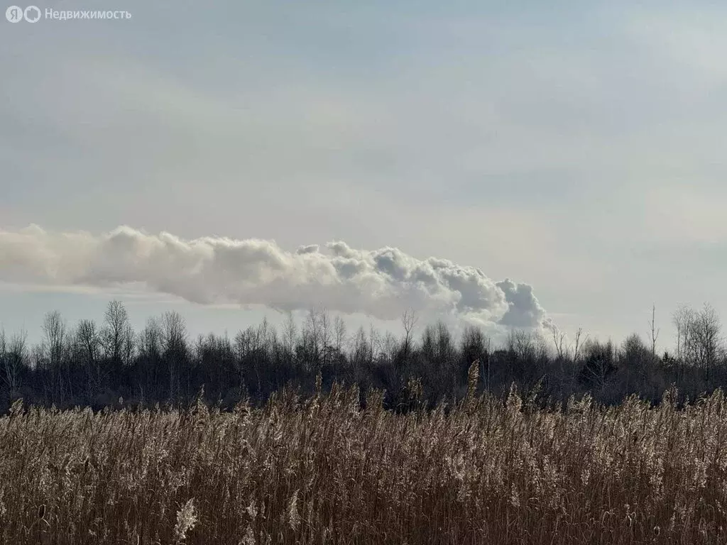 Участок в Ангарск, 259-й квартал (10 м) - Фото 0