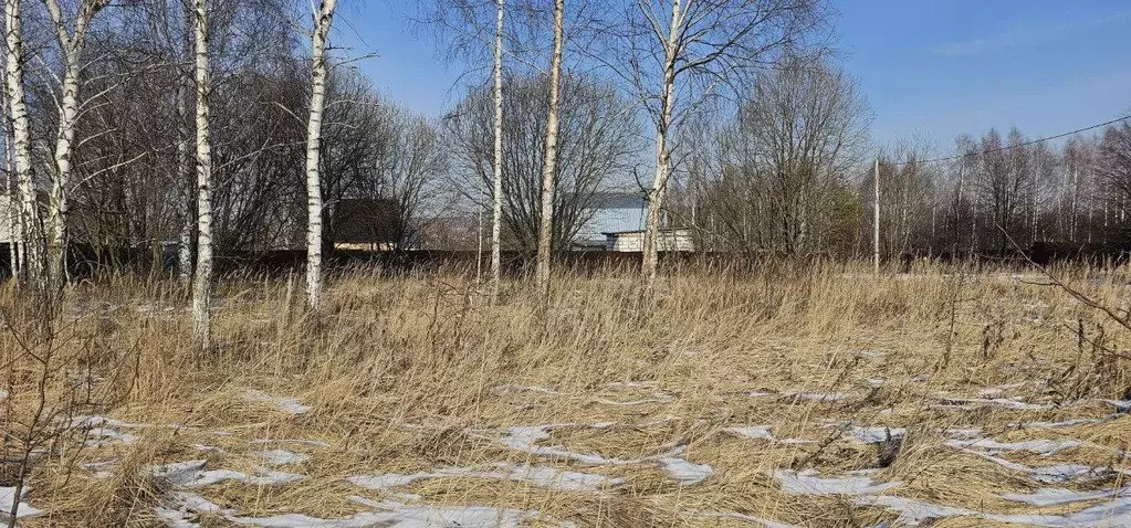 Участок в Московская область, Луховицы  (12.0 сот.) - Фото 0