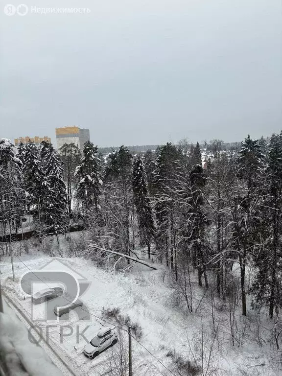 3-комнатная квартира: посёлок городского типа Голубое, Родниковая ... - Фото 2