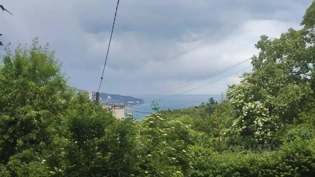 Участок в Крым, Ялта муниципальный округ, Виноградное пгт  (4.0 сот.) - Фото 1