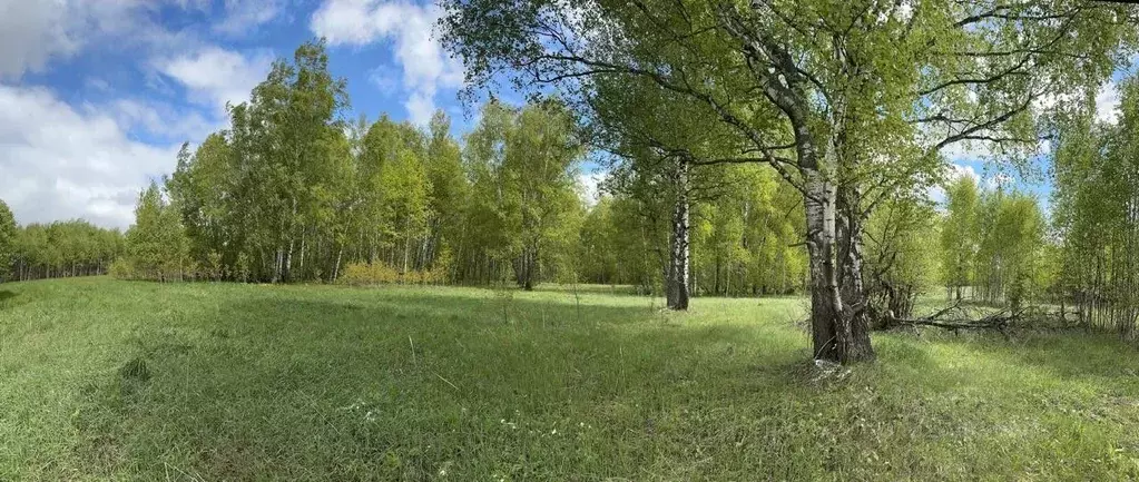 Участок в Московская область, Коломна городской округ, с. Подберезники ... - Фото 2