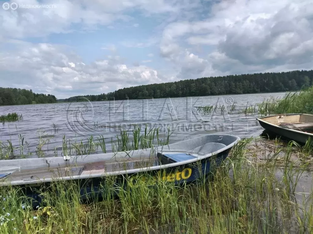 Участок в Лужский район, Скребловское сельское поселение, посёлок ... - Фото 1
