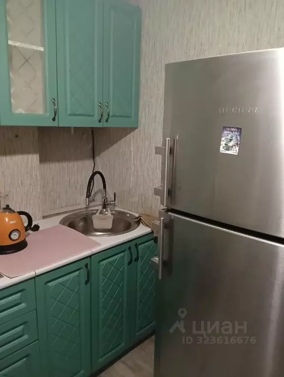 1-к кв. Псковская область, Великолукский район, Переслегинская ... - Фото 2