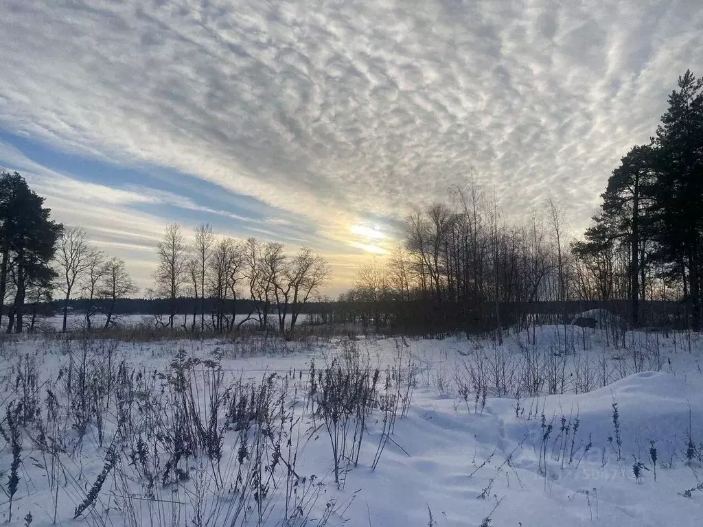 Участок в Ленинградская область, Выборг Поселок Кировские дачи,  (20.0 ... - Фото 2