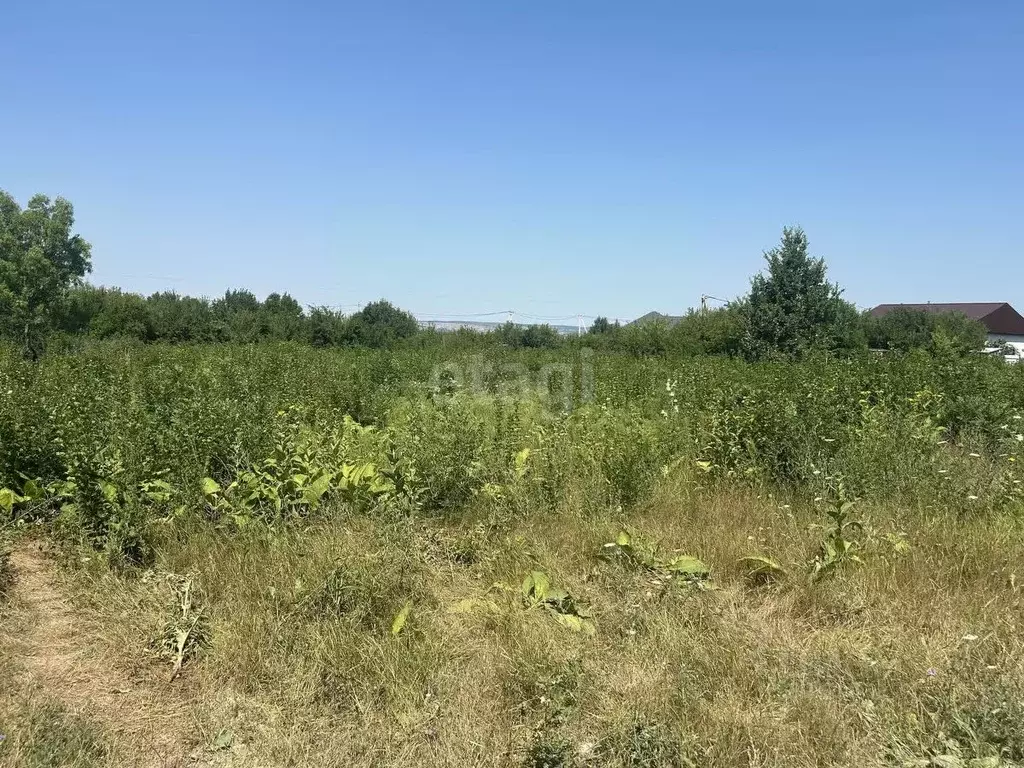 Участок в Краснодарский край, Новороссийск городской округ, ... - Фото 1