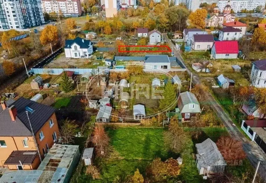Участок в Калининградская область, Калининград Заря СНТ, ул. Лиловая, ... - Фото 1