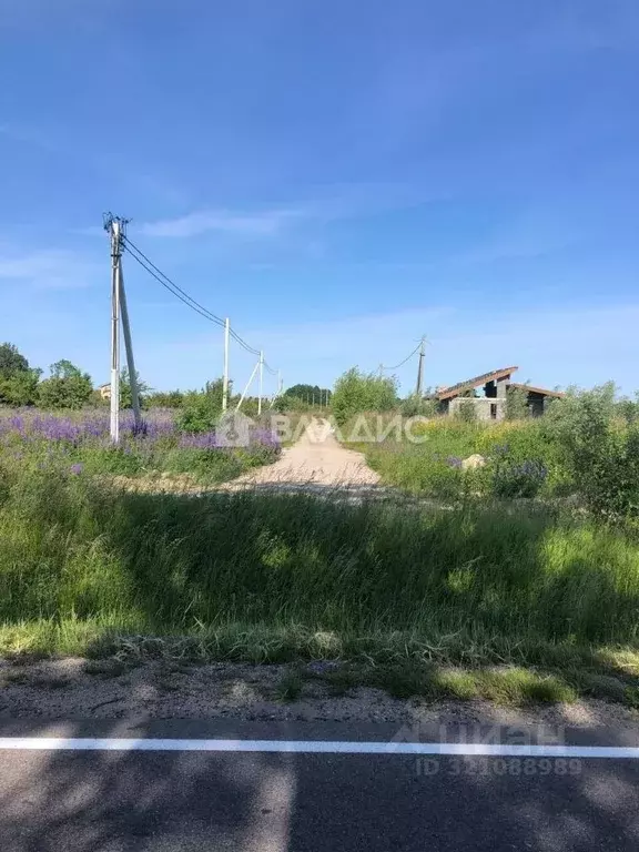 Участок в Калининградская область, Зеленоградский муниципальный округ, ... - Фото 1