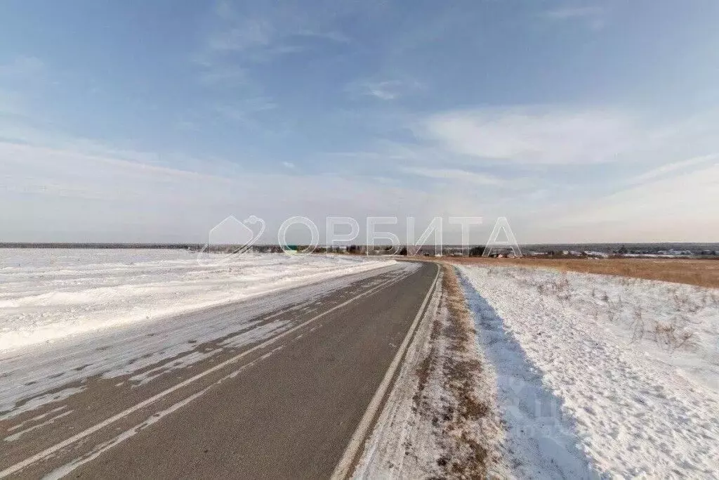 Участок в Тюменская область, Тюменский муниципальный округ, Лоза СНТ  ... - Фото 1