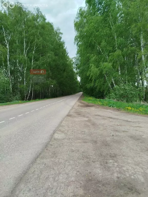 Участок в Безлычное, Центральная улица, 50 (24 м) - Фото 1