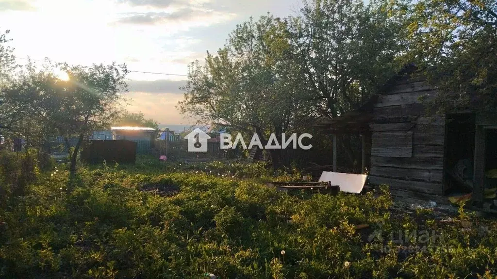 Участок в Пензенская область, Пенза Авиатор-3 садовое дачное ... - Фото 2