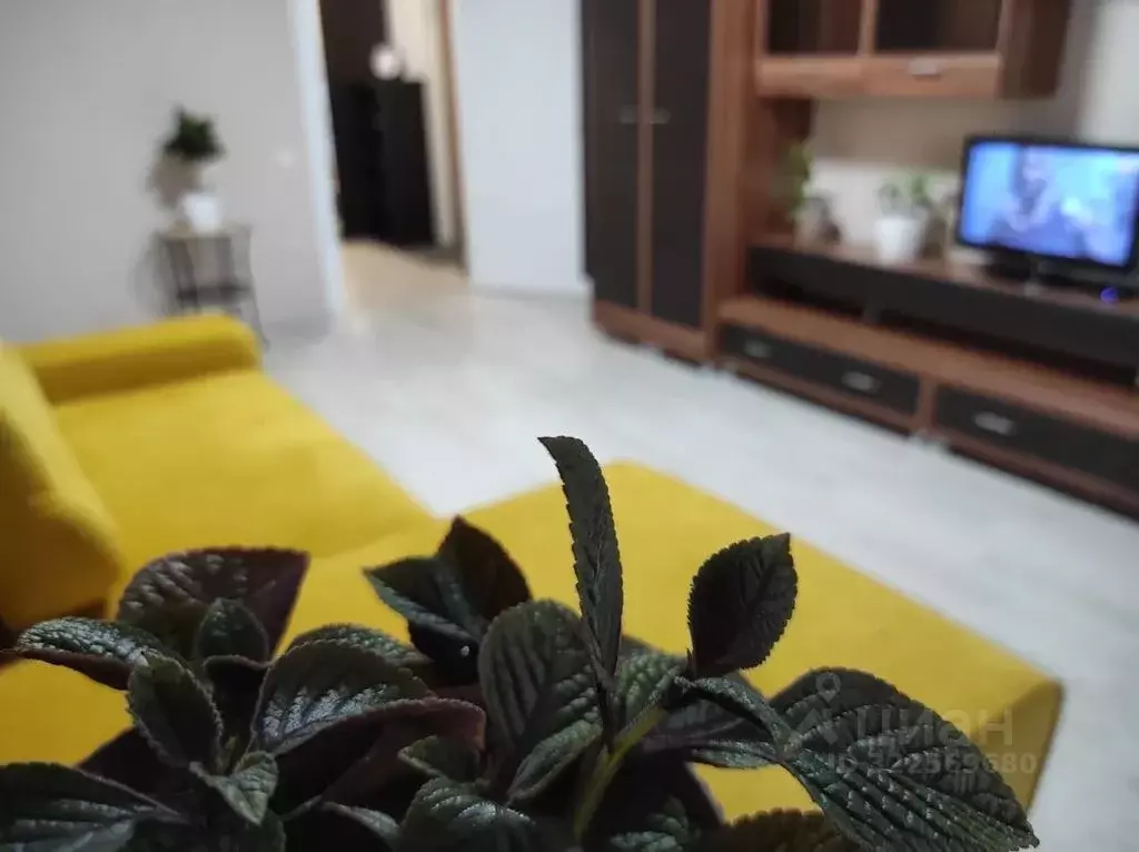 1-к кв. Пензенская область, Пензенский район, Засечный сельсовет, с. ... - Фото 2