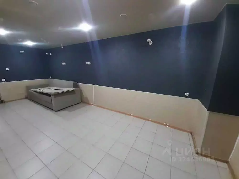 Помещение свободного назначения в Краснодарский край, Анапа Крымская ... - Фото 2